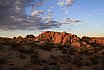 Joshua Tree National Park