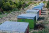 08-sithonia-010