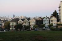 Painted Ladies