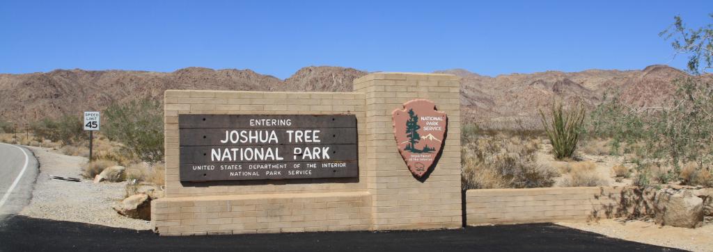 Im Joshua Tree National